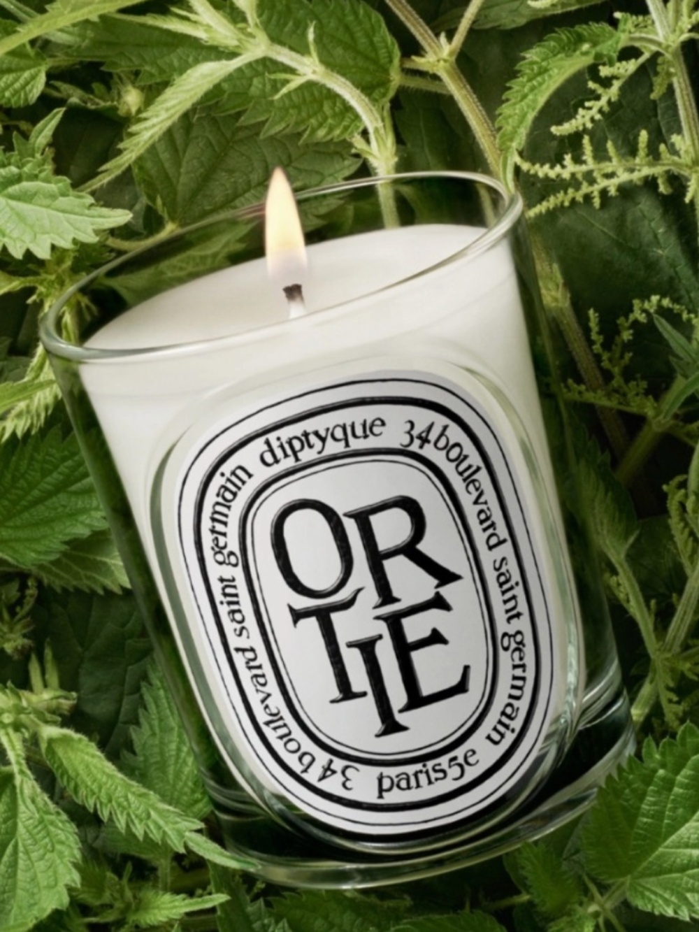NEW Diptyque Paris Ortie (Damp Forest) Candle 35g RARE